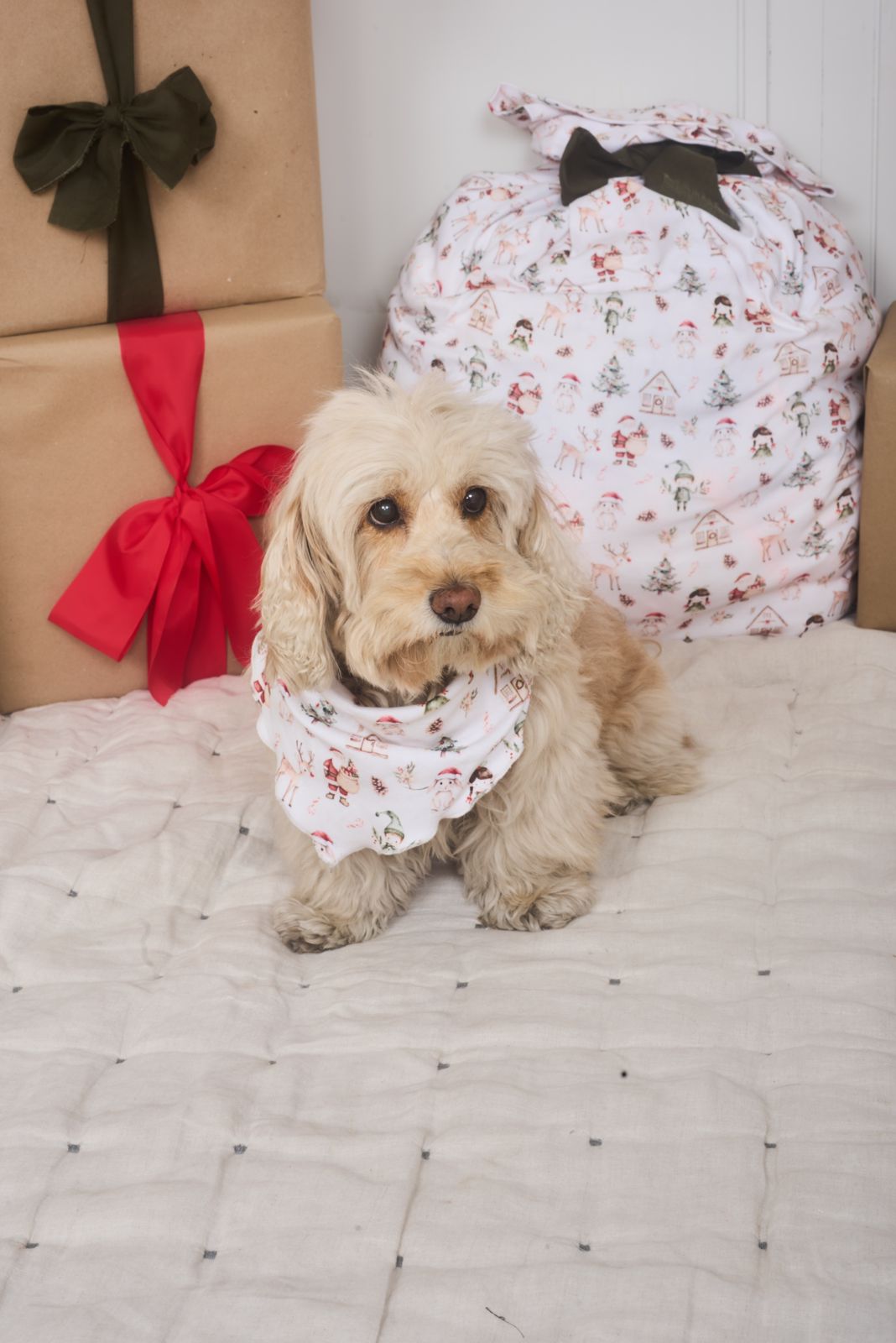 Bandana Perro Navidad 2024