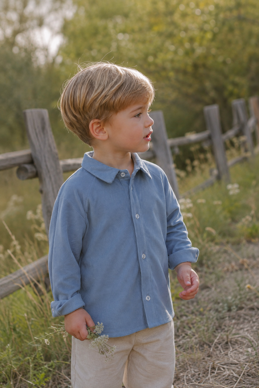 Camisa Aletilla Alix